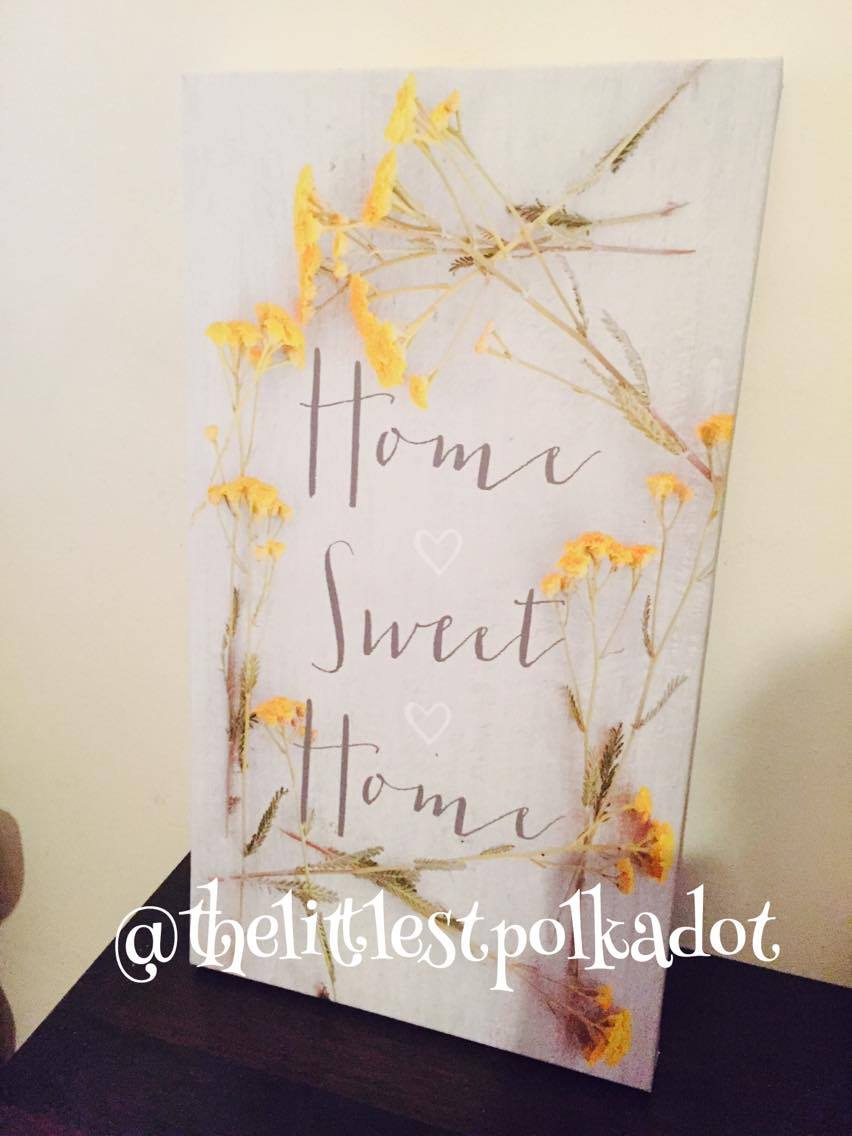 12874197_10153850514156005_986108111_o (1)