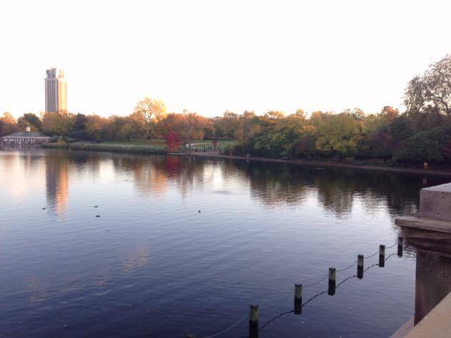 12966441_10153914378366005_1914833770_n