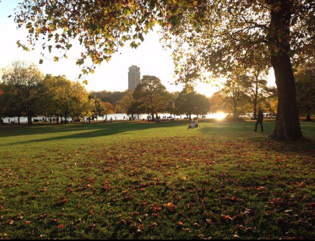 12980385_10153914378501005_1892427112_n