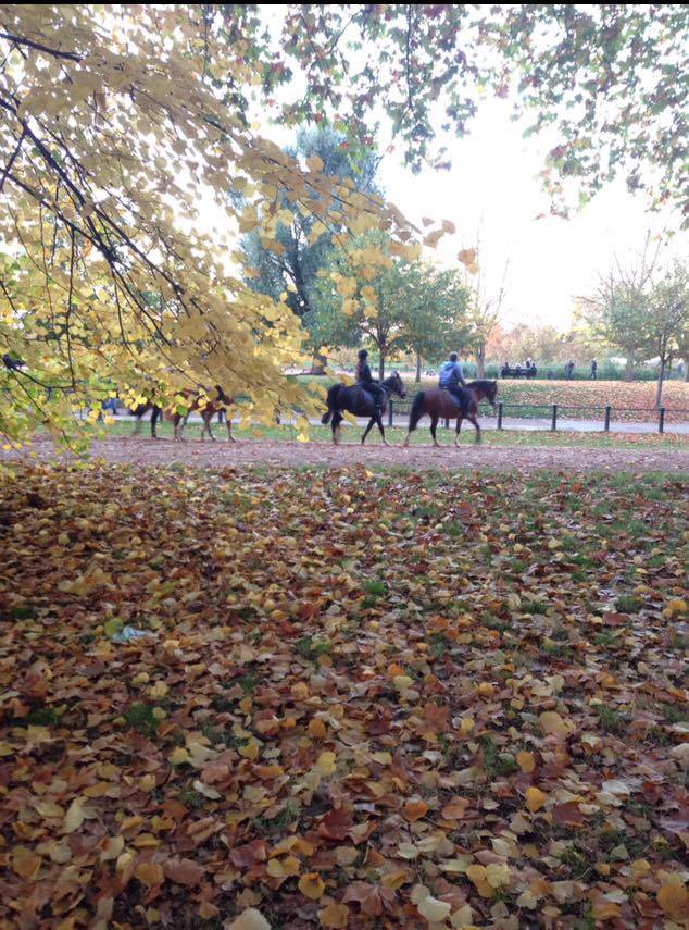 12988182_10153914378251005_1372728804_n