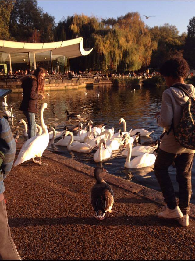 12992095_10153914378431005_1475761091_n