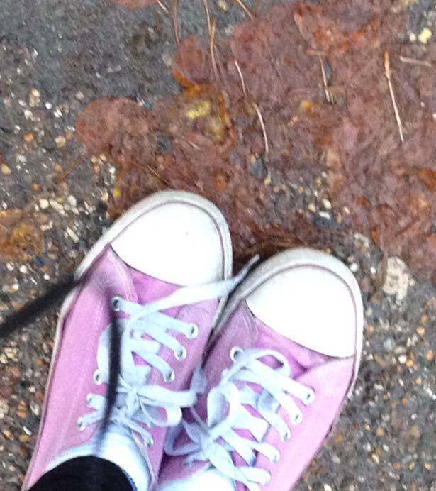 12992772_10153913883956005_1137047737_n